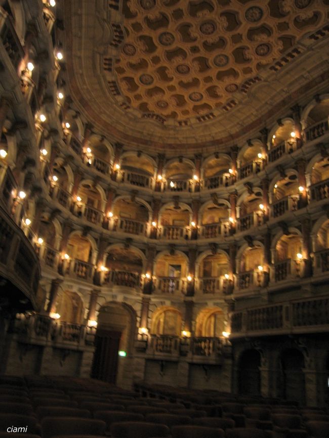 モーツアルトも演奏したビビエナ劇場。<br /><br />曲線が美しいのよ。