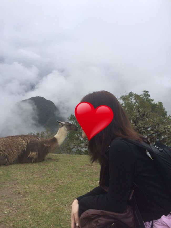 就職したら返す約束し、母のお金を借りて卒業旅行することにした。<br />就職したら、ほぼ確実にいけないであろう南米に行ってみたかった。<br /><br />大学卒業旅行の一発目は南米のペルー、ボリビアに行くことに決定!!<br /><br />たまたま大学の友達がブラジルに留学していたので<br />誘い、ペルーで合流していこう!!ということになった。<br /><br />旅行が確定するまで紆余曲折あり、<br />実際問題なく旅ができるか不安はあったものの<br />旅行出発の日が来た。。<br /><br /><br />●スケジュール●<br />11/18 成田 AA170 17:05→ロサンゼルス 10:05<br /> ロサンゼルス AA7675 12:50 → リマ 00:10<br />11/19 マチュピチュ<br />11/20 クスコ<br />11/21 クスコ Z8-501 10:40 →ラパス 12:40<br />11/22 ウユニ<br />11/23 ラパス<br />11/24 ラパス AA922 07:07 →マイアミ 15:52<br /> マイアミ AA1002 20:09 →ダラス 22:33<br />11/25 ダラス AA175 10:10 → 成田 11/26 14:55<br /><br />●利用旅行会社●<br />ファイブスタークラブ<br />