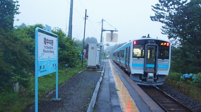 美味しい駅弁と地酒を片手に、海沿いを走る八戸線の車窓を堪能、気ままに海沿いの駅で降りてのんびり……。なんて計画を立てていたのですが。<br />天候は優れませんでしたが、それでも決行。駅弁つまんで、地酒でいっぱいやりつつ八戸線に乗車です。<br /><br />2019/10/15投稿<br /><br />