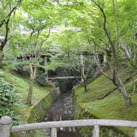 京都その1 東福寺とそこでのギュレル写真展