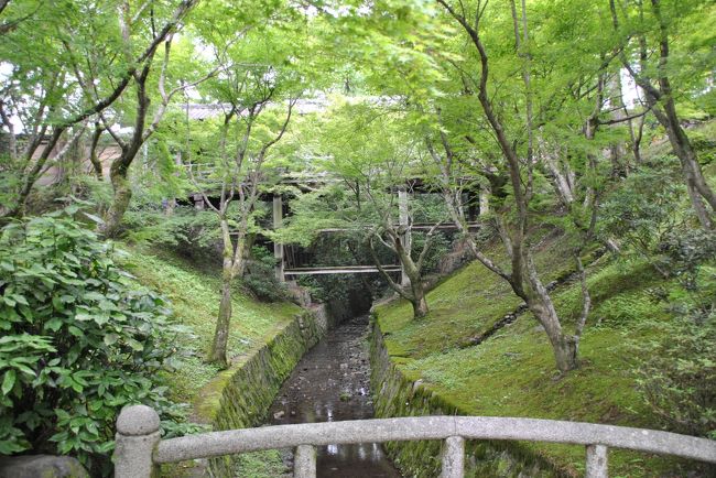 京都の川床を友人たちと味わう旅行。初日は酒豪前に京都駅から東福寺へ行きました。そこで、たまたまトルコの写真家ギュレルの写真展も開かれていて見ることができたのはラッキーでした。東福寺は楓で有名ですが、苔も綺麗です。また、蓮の池もあり、これは見事な蓮です。<br /><br />その3まであります。<br />カメラはNikon D3000、レンズはシグマの18-200mm、露出間違えたので、ViewNXでコントラストと明るいさを少し修正。