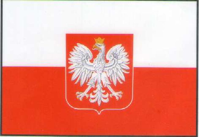 5月に83歳の誕生日を迎えた。昨年10月チェコ東部のモラビア地方を歩いてきたがまだまだソコソコ歩けそうなのでかねて行きたかった未知のポーランドを訪ねる事にした。年齢の事を考えて期間も短く昨年通り６泊８日。一番の目的は現在のドイツの核となったドイツ騎士団の城　Malbork城(独：Marienburg)を見学する事である。<br /><br />旅行記を書くにあたっての参考にし資料<br /><br />ポーランド旅行　A・デーブリーン　岸本雅之訳　鳥影社　　　　　　　（1925年第一次大戦後の独立の混乱期の旅行記　大変興味深く読了）<br />ポーランドの歴史　河野肇　訳　創土社（ケンブリッジ版世界各国史）<br />ポーランドの架け橋　兵藤長雄　文芸春秋社<br />地球の歩き方　A26 ダイヤモンド社<br />北方の十字軍　山内進　講談社学術文庫<br />世界史小辞典　山川出版社<br />外国人名事典　三省堂<br />Warschau Hauptstadt Polens（独文）<br />Warsaw City Guide (英文）<br />Tha Royal Castle in Warsaw Museum Guidebook（英文）<br />Wielkie Muzea（ポーランド文：全く読めない　英語版　独語版が皆無）<br />Krakau （独文）<br />Marienburg Schloss und Stadtfuerer（独文）<br />Malbork Reisefuerer (独文）<br />Wikipedia（和文　独文　英文）<br />ポーランド語基礎　1500語　大学書林<br /> <br /><br /><br /><br /><br /><br /><br />