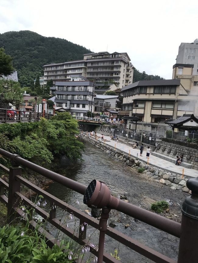 久しぶりに湯村温泉に行って来ました<br />西国33箇所巡りをしつつ、食い倒れの旅でした<br />