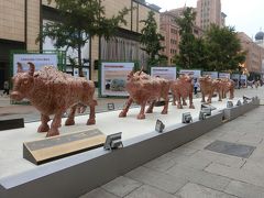 特典航空券で北京　トラブル続きの旅でした・・