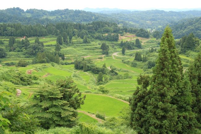 2019年7月の3連休。記録的な長さの梅雨空の下、山梨と新潟の絶景を求めて2日間掛けて巡りました。<br /><br />梅雨独特の小雨交じりの中ではありましたが、深緑に包まれてフレッシュエアーを浴びることができ、心身リフレッシュできたと思います。<br />2日間で軽自動車で899Kmも小雨の中を走りましたので、運転疲れはありますが(笑)<br /><br />第5回は、今回の旅の最終回。<br />日本一の棚田とも評されることがある「星峠の棚田」と、日本海の新鮮な海の幸が頂ける「日本海フィッシャーマンズケープ」の投稿です。<br /><br />まず、「星峠の棚田」ですが、行ってみて行かない方が良かったと感じるくらい、観光客が現地の方に迷惑を掛けている実情が分かりました。改めて自分自身の行動を見直すとともに、イチ観光客としてお詫びしたい気持ちで一杯になりました。<br /><br />棚田のような私有地に、了解を得ずに足を踏み入れる、三脚を立てて撮影するなんて以ての外ですね。<br />祭などでもゴミが散乱している光景を見掛けることもよくありイヤになることがありますが、ゴミを捨てないなんて基本的なマナーが守れないなんて、日本人として恥ですね。観光地云々関係ないですよ。<br />訪問時にも、普通に駐車場以外の場所に停めて、エンジンも切らずに車の中でお菓子を食べてる人がいました。何してるんでしょう。これも観光地云々関係ないですよ。<br />こんなキホン中のキホンができないなんて、と思うとどこか情けなくなってきてしまいました。<br /><br />こんな状況でしたので、星峠の棚田の撮影ポイントは、固定されて数か所のみ。NHK大河ドラマ「天地人」のオープニングにも採用された美しい田んぼを身近に見学することはほぼできなくなっています。本当に残念です。<br /><br />その後は、柏崎市にある日本海フィッシャーマンズケープまで約1時間のドライブ。<br /><br />日本海フィッシャーマンズケープと名付けられたこの地は、鴎が鼻とも呼ばれる米山国定公園の一部。<br />日本海の新鮮な海の幸が頂ける、貝が大好きな旅行三昧にとって、一度は訪れたいと思っていた場所です。<br />辿り着くと駐車場はほぼ満車、超人気スポットなんだなって実感しました。<br />大好きな貝串「ホタテ」「アカニシ」「ツブ」を頂き大満足し、鴎が鼻にある恋人岬にも立ち寄り、この旅を終えて自宅に向けてステアリングを握りました。<br /><br />天気にはあまり恵まれず、もう一度行きたい場所が沢山出来ましたが、旅は様々考えさせられることもありますが、やっぱり楽しいですね!!<br /><br /><br />■【1】特別名勝の景勝地『昇仙峡』<br /> https://4travel.jp/travelogue/11516857<br />■【2】寒い!鳴沢氷穴、本降りの忍野八海、日本三大奇矯の猿橋<br /> https://4travel.jp/travelogue/11517543<br />■【3】入って良かった?インディペンデンス・ボードウォーク<br /> https://4travel.jp/travelogue/11518640<br />■【4】ネーミングもイケてる「美人林」<br /> https://4travel.jp/travelogue/11519417<br />■【5】(本投稿)星峠の棚田と日本海フィッシャーマンズ・ケープ<br /><br /><br />旅旅旅-- 旅行三昧 --旅旅旅<br />