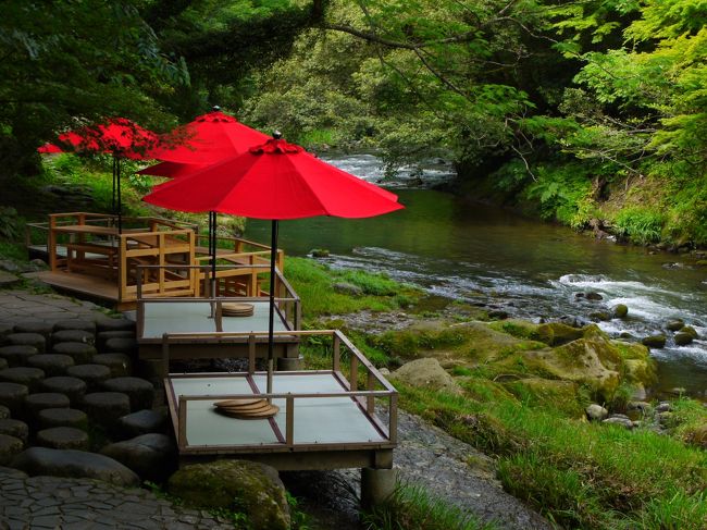 父の誕生日祝いも兼ねて前々から計画してた徳島県のとあるキャンプ場でのキャンプは雨で流れ・・・<br />代わりに恐竜博物館見学と、ついでに山中温泉に泊まることにしたS家。<br /><br />博物館でけっこうゆっくり見学したあとは、「千古の家」とか寄り道しつつ、一路山中温泉へ~<br /><br />宿はブッキングドットコムで安いプランを見つけた「セレクトグランド加賀山中」。<br />もともと予約してたキャンプ場が1泊4000円(3人で)やったことを思うと山中温泉はかなりグレードアップしてるけど、恐竜博物館近くのキャンプ場がなぜか高騰してて、山中温泉の宿で1泊2食付きの方がずっと安かったんよね。<br />父も徳島じゃないならキャンプは嫌だとか言い始めるし、ほなもぅホテルとっちゃうよーっというわけで、急遽決まったのでした。<br /><br />温泉で癒され、トランプ大会で爆笑し、翌日は温泉街とすぐそばの鶴仙峡をぶらり♪<br />結局すごいいい天気で北陸は雨にも降られず、<br />なかなか楽しい週末やったな(´▽`)<br />