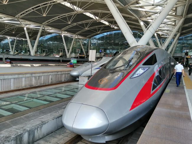今回はマカオから深セン蛇口までフェリーで、深センから広州東駅まで高鉄で移動しました。<br />広州で観光した後、広州南駅から広九線で香港の西九龍まで移動しました。<br />今回もほぼほぼ移動記です。