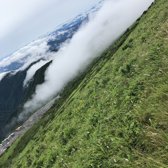 初、日本百名山登山チャレンジ。<br />朝、自宅から車で🚗伊吹山登山口へ。山頂まで、3時間ちょっと。急登ではないものの、登りごたえある坂道続き、雨上がりの朝だったので、雨水が乾いていない、ぬかるみもありました。<br /><br />花の山!高山植物がたくさん咲いていました。<br /><br />山頂には、伊吹ドライブウェイで車でも登れるため、眺めとお花を見に来る人で、山頂は賑やか。<br /><br />降りるころななは、道も乾いて歩きやすい下りでした。<br /><br />帰りは、登山口から2キロの、伊吹薬草の里文化センターの立ち寄り湯でさっぱり。醒ノ井駅横の、野菜??産直で、野菜と、美味しい水、いただいて帰りました。<br /><br />