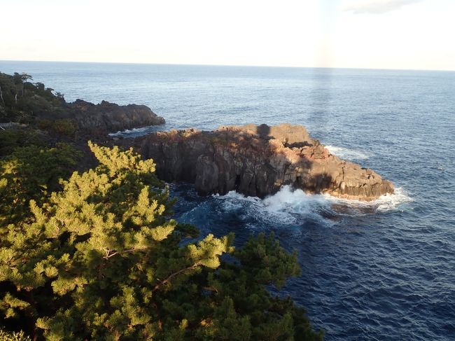 年に何回か両親と行く温泉旅行、<br />今回は熱海へ行きました。<br />だんだん年を重ねていく両親（自分もそうですが）、<br />いつまで一緒に行かれるのでしょうか・・・<br /><br />伊豆シャボテン動物公園を堪能して、その後<br />気になっていたにも関わらず行った事がなかった<br />城ヶ島海岸へ行ってみました