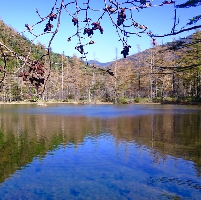 ☆秋だからと上高地帝国ホテルへ ♪<br /><br />久しぶりに訪れた上高地<br />雲一つない綺麗な青空が広がっています。<br /><br />河童橋から絶景の穂高連峰と焼岳、<br />梓川の清流を眺めながら歩き明神館に到着!<br /><br />明神館で小休憩して<br />穂高神社奥宮のある明神池へ向かいます。<br />綺麗な明神湖ブルー☆に出会えるかな~。。。<br /><br />上高地の落ち葉を踏みしめて歩くと<br />一足ごとにあんな事こんな事と<br />若かった頃の記憶が蘇ってきます。<br /><br /><br /><br />