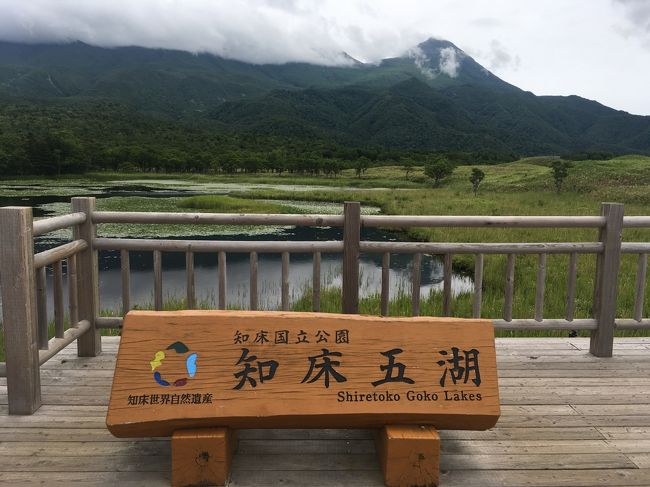 去年は通過したので今年は知床五湖に行ってみた。