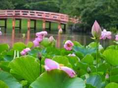 青春18きっぷで、いわき湯本温泉一人旅　(2日目）白水阿弥陀堂、いわき駅周辺、さはこの湯