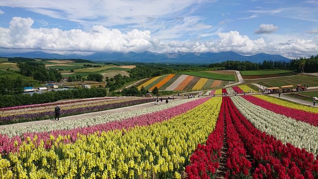 JALのどこかにマイルで決まった北海道へ。<br />せっかくこの時期に来たので富良野のラベンダーが見たい!<br />レンタカーも考えましたが、もし渋滞に巻き込まれたらやだなぁ…と思い、札幌発着の日帰りバスツアーを利用することにしました。<br />効率よく見所に連れていってくれるので楽チンでした~<br />帰りのバスは爆睡。