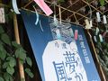 豊田の旅行記