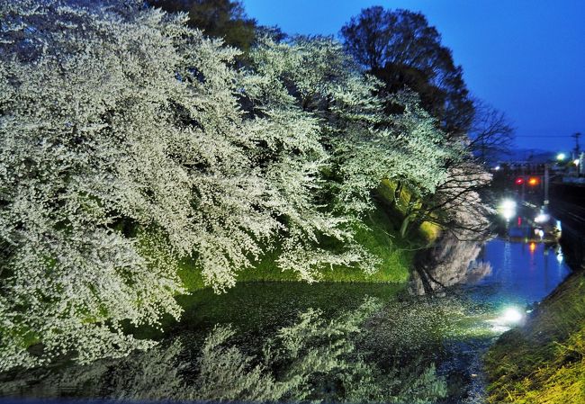 山形城跡である霞城(かじょう)公園は、桜の名所として有名。わが家から列車1本1時間余りで行けるのだけれど、近隣の満開とほぼ重なるため、毎年気になってはいたものの・・・なかなか訪れることができなかった。<br /><br />今年は、一目千本桜などと満開が少しズレたことと、週末、お天気に恵まれたことで・・・連れ合いとお花見に出かけてみることにした。<br /><br />