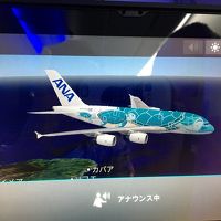 久しぶりのハワイ by ANA A380 初日編