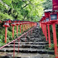 ハイキングデビューにおすすめ！【京都】鞍馬寺→貴船神社コース