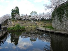 飛鳥山の花見。たしかにすごい人出。