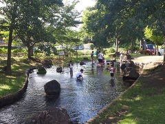 2019/7 千葉県　流山　野々下水辺公園　じゃぶじゃぶ池