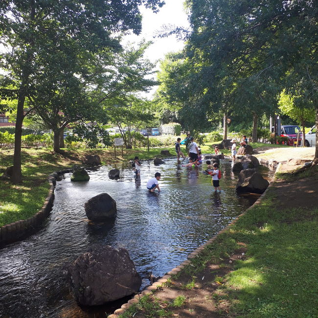 利根川の水を汲み上げ、流しているじゃぶじゃぶ池。<br /><br />長さ200メートル位でしょうか。<br />下流の方は水草もありザリガニもいました。<br /><br />駐車場がないので、近くに路上駐車せざるを得ない地本の人向けの公園ですね。<br />水もきれいでひんやりでよかったです。