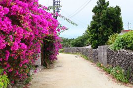 JGC修行 第4弾 ★ 歩いて楽しむ♪ 週末離島ひとり旅 <後編> 竹富島～石垣空港～おみやげ 編