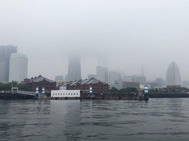東京から横浜に移動しました!横浜は何年振りでしょう…多分、10年以上は行ってない。久しぶりの横浜、満喫しました!土砂降りだったけど。(T_T)