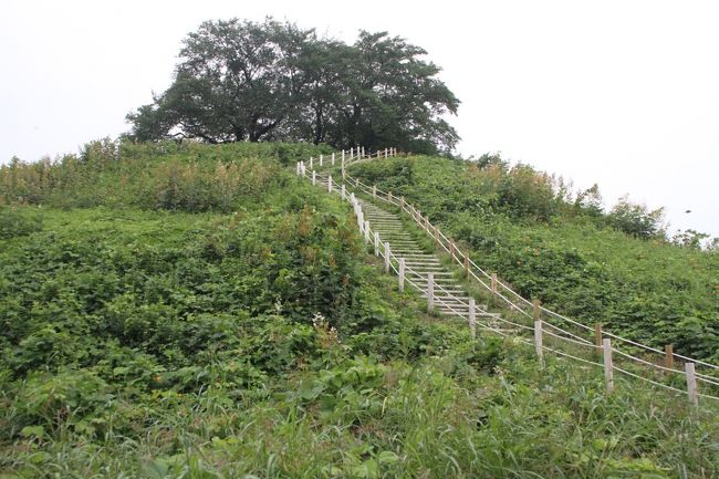 埼玉県名前の由来、発祥の地「さきたま古墳公園」を散策した。<br />街中にに古墳が多々ある、韓国慶州(きょんじゅ)を思い出した。<br />https://4travel.jp/travelogue/10686957<br />これら古墳が作られた時代は外国(東アジア)から渡来人が来て大陸文化が日本へ伝わった。「図解日本史」九州高等学校歴史教育研究協議会発行では【6世紀の加羅、7世紀に百済・高句麗が滅亡し、韓民族の王族や文化人が亡命した。進んだ土木・灌漑技術や仏教・儒教を伝え、飛鳥文化形成に貢献した。】との事である。<br />