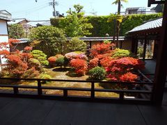 新緑の京都　三日目【2】つつじの正伝永源院、きななのジェラート、寶蔵寺、梨木神社、本能寺、洛陽三十三観音霊場巡り