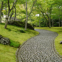 梅雨旅・箱根～苔の庭園と強羅の濁り湯～