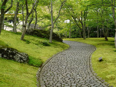 梅雨旅・箱根～苔の庭園と強羅の濁り湯～