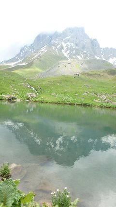 コーカサス・Chaukhi山麓のお花畑