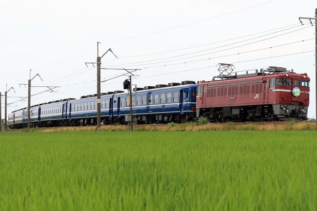 青春18きっぷで7月27日、28日に秋田~青森間で運転される12系急行「津軽」の撮影に出掛けてきました。<br /><br />最初は行く予定では無かったのですが、1週間前に時刻表を眺めてみたら、まだ未乗の男鹿線と五能線の乗り潰しも出来ることが判り、急遽出撃することにしました。<br /><br /><br />