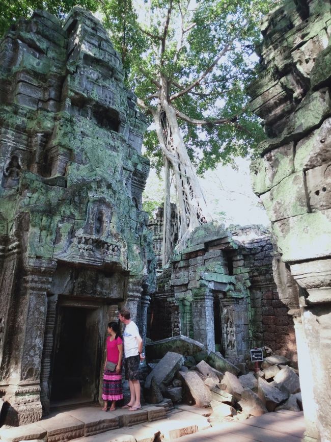 ベトナム・ラオス・カンボジアの旅18日目、前編。<br />個人観光ツアー5日間申し込んでるので、カンボジアではあんまりのんびりじゃない二人旅。<br />旅行中になるべくリアルタイムでアップしていたのですが、カンボジアでは観光詰め込み過ぎて旅行記を書く体力が残っておらず、この旅行から9カ月たった今ようやっと遠い記憶をたどりながら書いているのでかなりうろ覚えです。やっぱり鉄は熱いうちに打たないとダメですね…。<br /><br />・アンコールワットの朝日<br />・タ プローム<br />・タ ネイ<br />・タ ケウ<br />・プリヤカン<br /><br />＊寺院の説明は、ガイドさんの説明とわたしがネットで個人で調べたものを合わせたので間違った解釈も多々あるかもしれないので、さらっと読んでください　笑<br /><br />