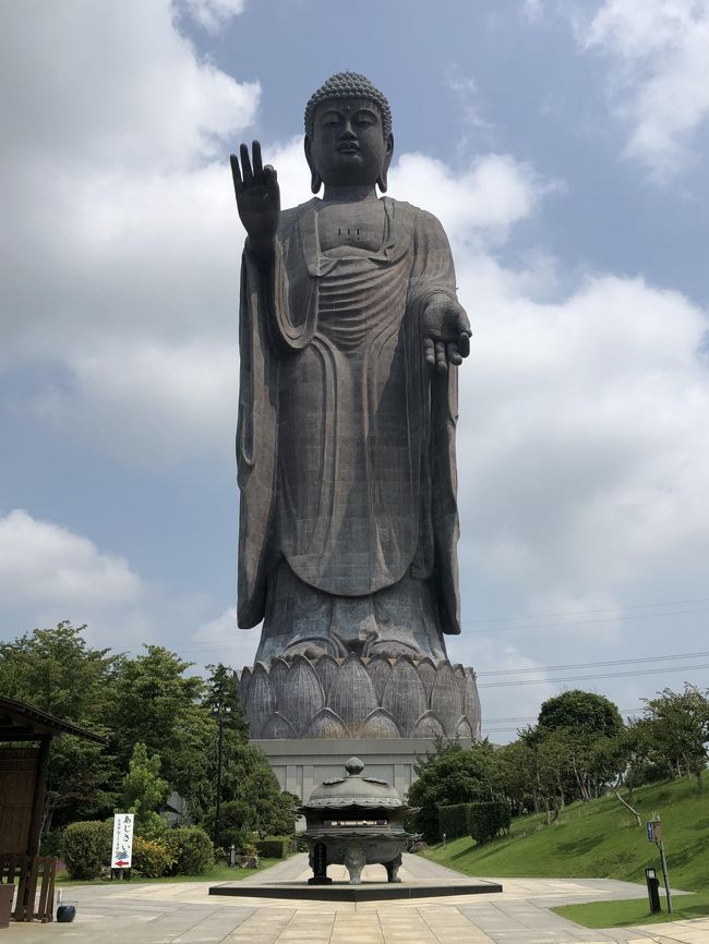 茨城県で仕事があったので、ちょっと早めに家を出て牛久大佛様に寄り道しました。いつも高速道路から後ろ姿ばかり見ておりましたが、このたびご尊顔を拝してきました。<br />正式名称は牛久阿弥陀大佛です。ご本尊は阿弥陀如来様です。<br />こちらの大佛様は、高さが120mもあり、奈良の大仏様が掌に収まってしまうほどの大きさで、青銅製の大仏としてギネス世界記録になっています。<br />また、胎内も拝観できるようになっていて、お天気次第ですが、地上85mの胸部からはスカイツリーや富士山を見ることもできるそうです。<br />そして、仏舎利がありました。タイ国から贈られたお釈迦様のご遺骨が安置されていました。お参りして良かった!南無阿弥陀仏。<br />