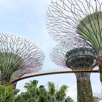 2019 シンガポール・ビンタン島 母子3人旅 　ー　6、７日目、やっとマーライオン、そしてお土産