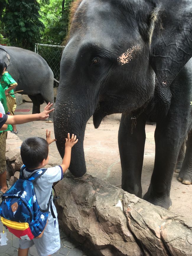 コップンカー。。。<br /><br />今日はSamphran Elephant Ground And Zooに行く予定でした。。なのにサファリワールドに個人で行くことに。色々失敗したので次回もし行くなら成功に繋げたい。