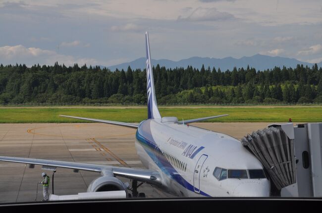 2019年7月26日仕事を終えてから、27日にかけて秋田へ行ってきました。<br /> ふだんは旅客列車が走らない貨物線の秋田港線に、2年前からクルーズ船の乗客を対象とした旅客営業が始まりました。<br /> 2018年には「秋田港海の祭典」期間中、一般客も乗れる列車が運行、ただし、窓口販売と電話予約だけだったため、電話がなかなかつながらず断念しました。<br /> そして、2019年も「秋田港海の祭典」期間中に運行されることになり、予約もインターネットでできるようになりました。<br /> なかなか乗る機会がない路線なので、遠方ですが迷わずネット予約してしまいました。(笑)<br /> 秋田駅に戻り、再び青春18きっぷで乗り継いで帰る友人と別れ、ANA便乗り継ぎで帰途につきます。<br />