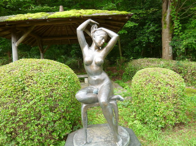 【片倉城跡公園と湯殿川をサイクリング 八王子 2019/07/27】<br /><br />高雄でクロスバイクを乗り出して、サイクリングが楽しくなりました。八王子に戻っても、市内をサイクリングをしようと思って、引越しを機に甥が残していった自転車を引っ張り出して、乗ってみることにしました。予期していた通り、虫ゴムは腐っていたので、100きんで早速、虫ゴムを買いに行き、空気を入れました。片倉城跡公園へ行ってみることにしました。とちの木ロードを抜けて片倉城跡公園まで走ったのですが、坂が多いので大変でした。自転車に乗らないとわからないのですが、八王子市内は意外に坂が多いのが判りました。片倉城跡公園では、子供連れの家族連れが2,3見かけました。カタクリで有名な片倉城跡公園には、室町時代に築城された城跡(本丸と二の丸)の他に、里山を模した自然環境が作られ、水車も置かれており、北村西望さんの彫刻など十数点が置かれていました。また、小山を登ると住吉神社がありました。いろいろ楽しめる公園です。<br />公園の前には、湯殿川が流れており、以前は、川沿いに秋桜が自然の状態で植えられていて素晴らしい所だったのですが、今は綺麗に整備されてすっかり無くなってしまいました。その湯殿川を走ってみました。土手には、金網の柵が作られており、河原に降りることが出来ませんでした。安全的には、良いと思うのですが、釣りを趣味している小職にとっては、ちょっと残念でした。