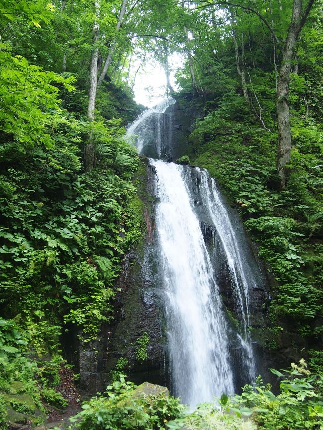 7月に入ってから、どこかいきたいね~。と。<br />中々決め手がなく、急遽決めた青森でしたが、<br />雨予報にもかかわらず雨に降られず、<br />色々と恵まれた旅になりました!