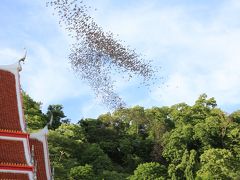 海沿いの「ドンホイロー」とラチャブリの「こうもり寺」へ