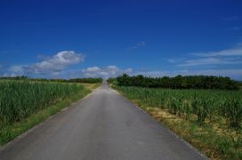 2019年7月　夏の沖縄へ（4日目-1）～ちょっと古宇利島へ