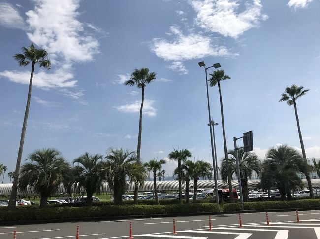 夏休みは宮崎に旅行しました!<br /><br />運よく?運悪く?インターハイが南九州で行われているさなかで、<br />全国の高校生と宿泊をともにすることになりましたが(苦笑)<br /><br />まずはブーゲンビリア空港から青島、白浜海水浴場に向かいます。