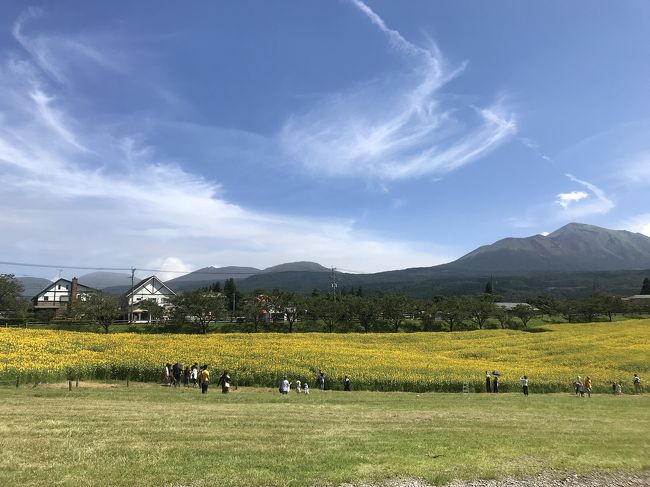 宮崎二日目は高千穂牧場から、流しそうめん、宮崎市内に戻ってホテルでBBQしながらプール三昧の一日です。<br /><br />一日目はこちらから<br />https://4travel.jp/travelogue/11523285<br />