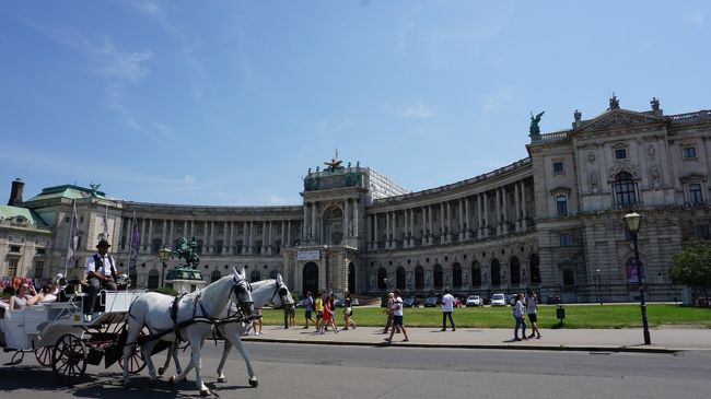 相方の転職が１か月後に決まったため、旅行なら今しかないと急遽ヨーロッパ行きを計画。準備期間は１週間。とりあえずANAで羽田-ウィーンの往復チケットは取れたものの、その先が決まらず…。時期は夏、ヨーロッパのあちこちでもバカンス+音楽フェスが開催されていてどこもいっぱい。憧れだったプラハも断念することに。<br /><br />やや肌寒かったポーランド・アウシュヴィッツから猛暑のウィーンへ行きました。街中はどこを向いても煌びやかで美しく見応えがあります。<br />ヴェルヴェデーレ宮殿ではクリムトのKissを間近で見れます。コツは開館直後に行くこと。<br /><br />こちらはウィーン2日目と3日目、ウィーン市内街歩きとヴェルヴェデーレ宮殿の旅行記です。<br />結果的に、ザッハトルテもシェーンブルン宮殿もスワロフスキーも取りこぼしてしまったのでいつか再訪したいです。<br /><br />　ーーーーーーーーーーーーーーーーーーーーーーーーーーーー<br />　7/16　羽田　→　ウィーン(ANA)　→　クラクフ(Austria航空)<br />　7/16　クラクフ街歩き、アウシュヴィッツ観光の情報収集<br />　7/17　アウシュヴィッツ・ビルケナウ見学<br />　7/18　クラクフ旧市街散策<br /><br />　7/19　クラクフ　→　ウィーン(Austria航空）<br />★7/20　ウィーン市内散策<br />★7/21　ヴェルヴェデーレ宮殿見学<br /><br />　7/22　ウィーン　→　(Austria航空)フランクフルト経由(Lufthansa航空)　→　バルセロナ<br />　7/23　バルセロナ市内で買い物<br />　7/24　サグラダファミリア見学<br />　7/25　バルセロナ　→　チューリッヒ経由　→　ウィーン　→　羽田