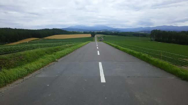 梅雨のなかなか開けない天気が続き、台風までやって来た7月、青い空が見たくなって北海道へ飛びました。何度も行っているのですが、夏に行くのは久しぶり。でもアジアからのLCCが就航してますます海外のお客さんが増えたようなのです。そこで千歳で降りてレンタカーを借りてから、直ぐ札幌には向かわずに、まず北海道らしい風景を見ようと追分あたりへ向かったのでした。<br /><br />カーナビ任せで走っていると、道の駅がありました。見ただけで施設が新しい事がわかります。（2019年の4月開業）駐車場は地元の車で埋まっていましたが、観光バスはいません。立ち寄って見ようと中に入ると、大きな空間にお土産や特産品の販売などもしていましたが、奥へ進むと屋内に蒸気機関車が展示されています。外にはキハ（昔の特急かな）の車両も。名前も「道の駅あびらD51ステーション」なのだそうです。追分地区は室蘭線が通っていて夕張炭鉱からの石炭を運んで発展した関係から、このスタイルの道の駅になったようです。<br /><br />次は石勝線へ向かいます。畑の間の未舗装道路を進み、金麦の踏切へ。これが正式の名称かどうか知りませんが、以前にビールのCMがここで撮影されたため、地元の人はこう呼んでいるようです。誰もいなくて静か、踏切の先の道路が空に伸びていくような景色で北海道を感じます。景色を眺めて感傷に浸っていたら、土埃を上げたトラックが通り過ぎました。地元の方には農作業に必要な生活道路なのかもしれません。<br /><br />もう一つの直線道路は、美瑛から旭川空港まで後日に走った道。国道は車が多いため、地元の人に抜け道を教えてもらいました。神社を曲がって丘に出て、、、と進んだのですが、真っ直ぐな農道が続きます。そこで曲がり角を間違えたのか、畑の中で行き止まり。細い農道まではカーナビも苦手なようです。少しウロウロしましたが「就実の丘」につきました。車も通らず、誰もいない見晴らしの良い地点です。それでも中国語やハングルの看板がありました。インバウンドがここまで来ているとは思いませんでした。<br /><br />美瑛と言えばジェットコースターの路が有名ですが、誠実の丘から空港までの道路もそれに負けないくらいの長さがあります。そして坂の角度としては、こちらの方が急なところもあるのではと感じました。農地の中をアップダウンし、途中に一回緩く曲がりますが、そこからは平地をまた真っ直ぐ。旭川空港が見えたら道路の終わりでした。<br /><br />有名観光地ではないため、観光バスにも人混みにも出会いません。広々とした大地と広がる空を見ながらまっすぐ走ると、北海道に来たなあと実感できました。<br />