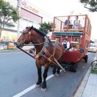 十勝帯広ぶらり旅行