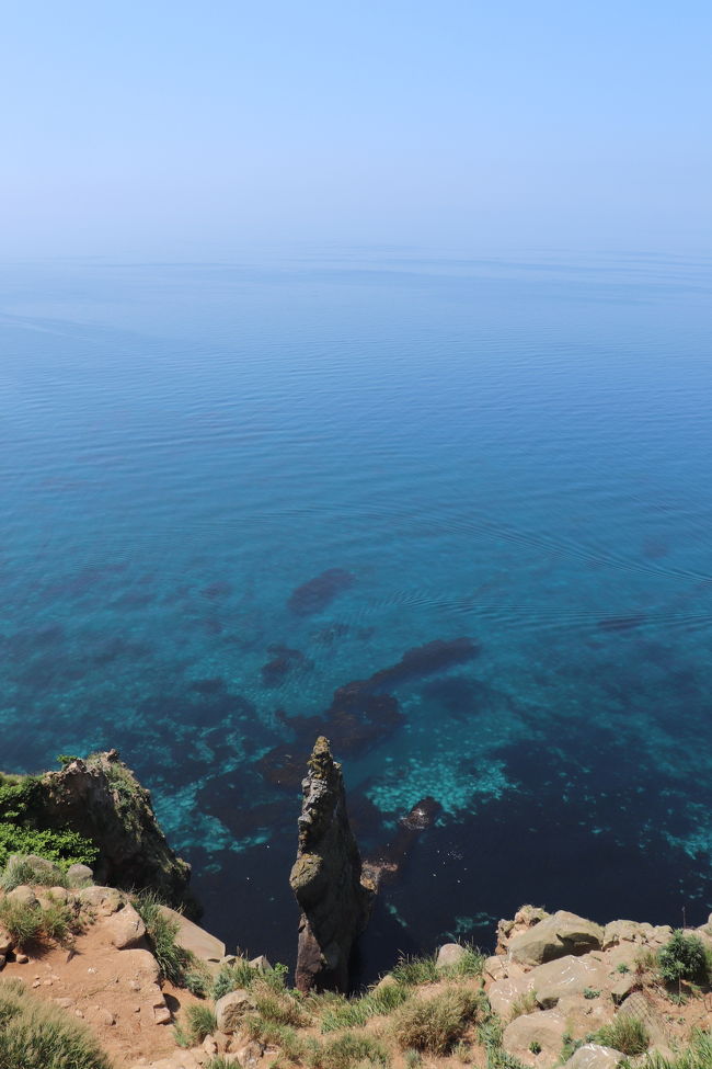 6月に行くことのできなかった天売島に行ってきました^_^<br /><br />海鳥の島天売島をレンタサイクル、漁船クルーズ、ナイトツアーで満喫です！<br /><br />日程<br />1日目<br />留萌駅　6:50　→　沿岸バス本社ターミナル　8:09　(バス)<br />羽幌フェリーターミナル　8:30　→　天売島　10:05　(フェリー)<br />10:30～　レンタサイクル<br />13:20～　天売島漁船クルーズ<br />19:00～　ウトウナイトガイド<br /><br />2日目<br />天売島　10:25　→　羽幌フェリーターミナル　12:10　(フェリー)<br />沿岸バス本社ターミナル　14:15　→　留萌駅　15:39　(バス)