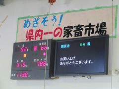 黒毛和種セリ結果３♪ＪＡおきなわ黒島家畜市場♪お買い上げ７８万８千円♪めざそう！県内一の家畜市場♪2019年７月八重山・黒島８泊９日４７