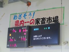 黒毛和種セリ結果４♪ＪＡおきなわ黒島家畜市場♪お買い上げ７７万０千円♪めざそう！県内一の家畜市場♪2019年７月八重山・黒島８泊９日４８