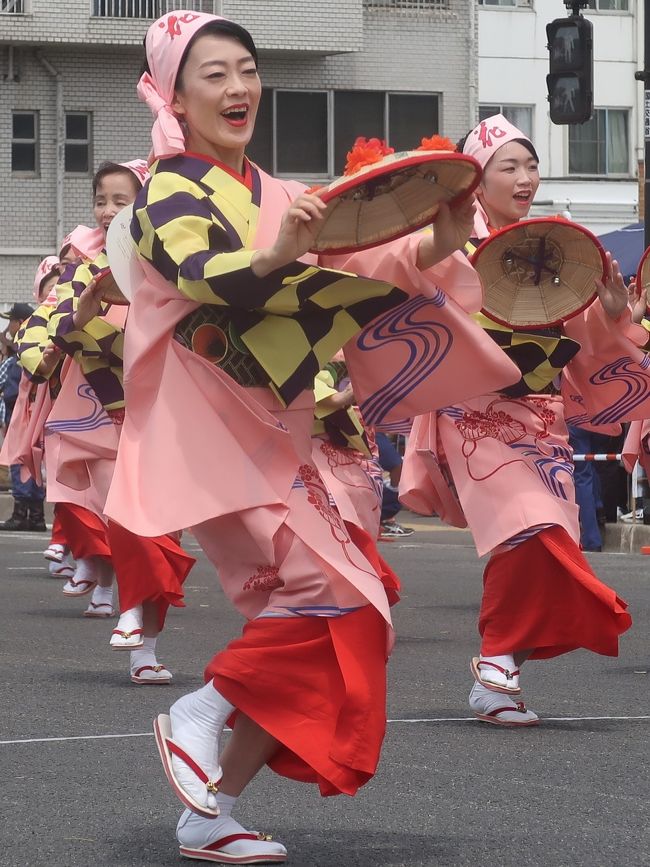 花笠まつりは、スゲ笠に赤い花飾りをつけた花笠を手にし、「花笠音頭」にあわせて街を踊り練りあるく日本の祭である。<br />山形県内など数か所で開催されているが、例年8月に山形市で行なわれる「山形花笠まつり」が広く知られている。<br /><br />花笠まつりの振り付けは、山形県内各地域別に約10種類存在していた。1963年（昭和38年）、それらの振り付けが一本化され「正調花笠踊り -薫風最上川-」が制定された。以降、これが標準的な振り付けとされたが、紅花摘みの作業唄からとったとされる、その楚々とした踊りの動作のため、主に女性が踊り手の中心となった。 <br />1999年（平成11年）、「正調花笠踊り -蔵王山暁光-」が、「薫風最上川」に並ぶ標準振り付けとして制定された。豪快な動作を取り込んでいるところが特徴であり、これにより男性の踊り手の増加に寄与したと言われる。 <br /><br />山形花笠まつり<br />山形市で開催される花笠まつりは「山形花笠まつり」と呼ばれる。例年8月5日・6日・7日の3日間開催され、パレードは文翔館正面から南西方向に伸びる県道19号山形山寺線および国道112号（七日町商店街ほか）で開催される。 <br /><br />元々山形市の伝統行事は、山形藩初代藩主である最上義光を祭る義光祭（ぎこうさい）であった。1963年（昭和38年）に「蔵王夏まつり」のイベントの1つとして「花笠音頭パレード」が始まった。その後、1965年（昭和40年）から「山形花笠まつり」として独立し、現在に至る。 <br />（フリー百科事典『ウィキペディア（Wikipedia）』より引用）<br /><br />山形花笠まつり　については・・<br />http://www.hanagasa.jp/<br /><br />東北絆まつり2019福島 <br />開催日　　2019年6月1日(土)・2日(日)　2日間 <br />パレード開催時間:　6月2日(日)12:30-15:00<br />福島市内　旭町交差点―＜国道4号＞―仲間町交差点―＜腰浜町町庭坂線＞―福島文化学園前　　約1.1kmを往復<br /><br />東北絆まつり/福島　については・・<br />http://tohoku-kizunamatsuri.jp/<br />